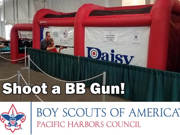 BSA BB Gun Shooting Gallery